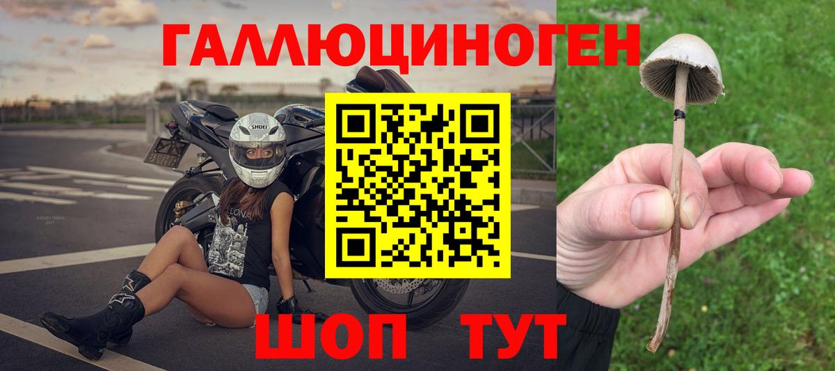 Псилоцибиновые грибы прущие грибы Ревда