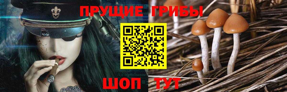 Галлюциногенные грибы Magic Shrooms  Вход с VPN  Ревда 